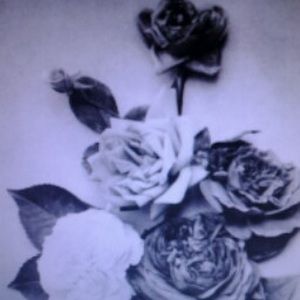 Meet your Posher, Shoshana